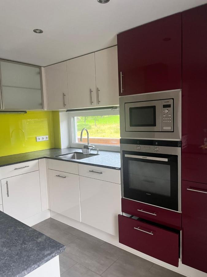 Heidis Appartement Гозау Экстерьер фото